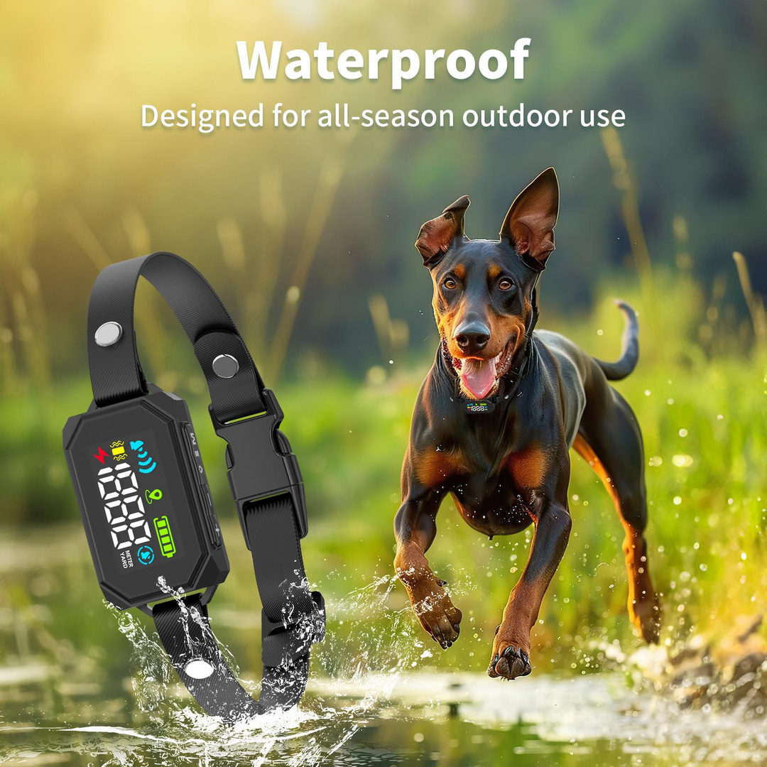 Outdoor GPS Wireless Dog Fence