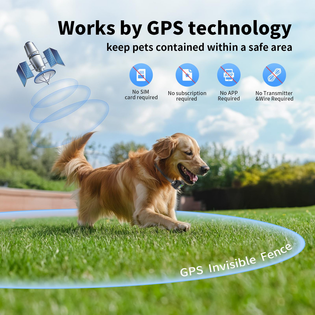 Outdoor GPS Wireless Dog Fence