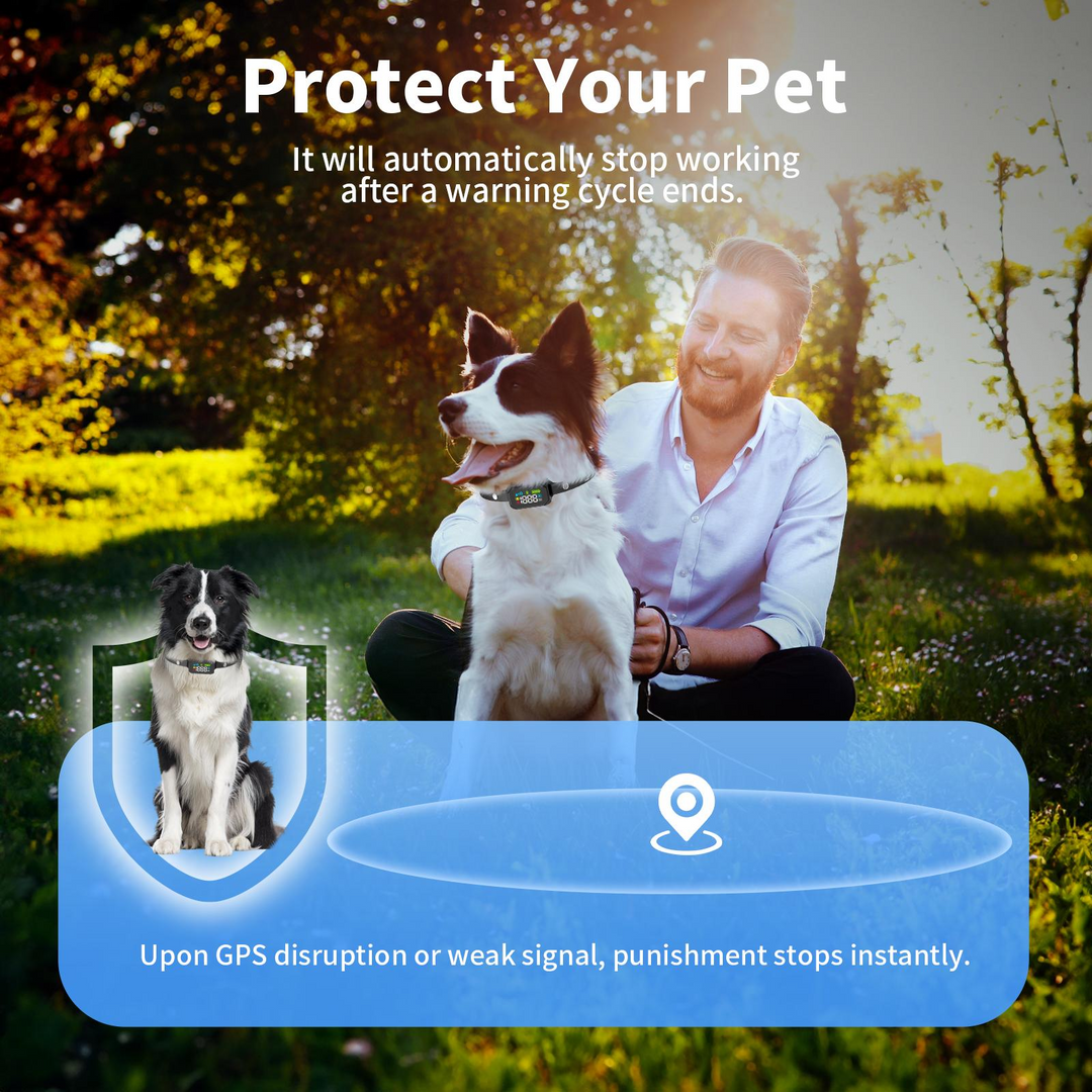 Outdoor GPS Wireless Dog Fence