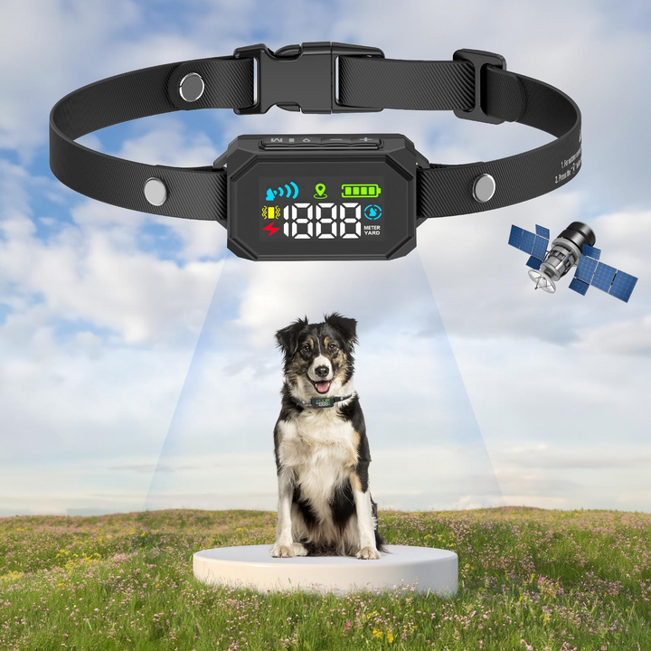 Outdoor GPS Wireless Dog Fence